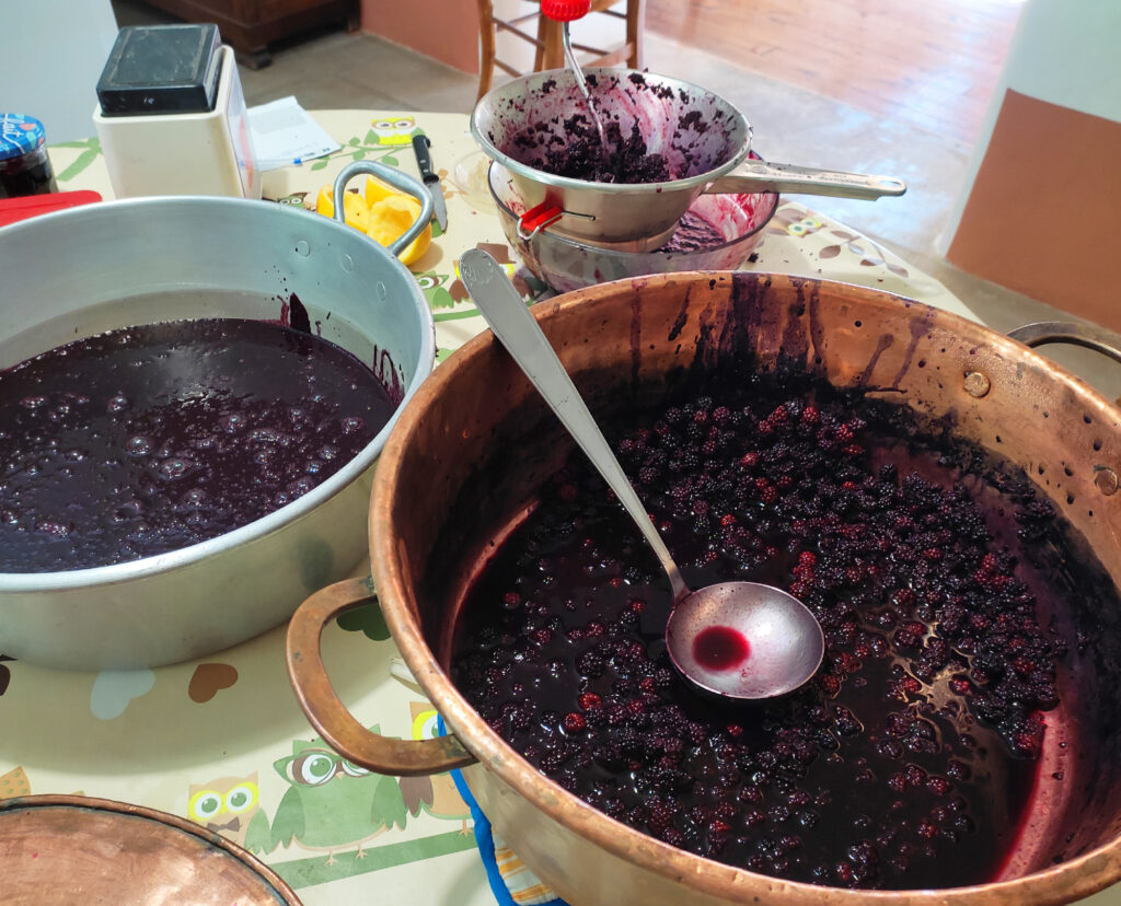 Confiture maison pour le petit déjeuner Emile Teissier